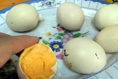 Hà Nội: 'Trứng gà ung' bồi bổ đắt khách