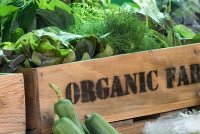 Mẹo giúp cả nhà dễ dàng mua được rau hữu cơ