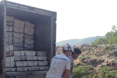 Tin an toàn thực phẩm hot ngày 7/5: Tiêu hủy hơn 3 tấn cá thối 'suýt' để làm nước mắm