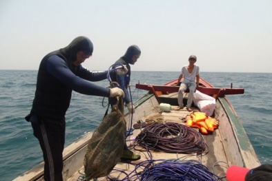 Tin tức thời sự 24h ngày 8/5: Thợ lặn Quảng Bình kể về đáy biển 'chết'