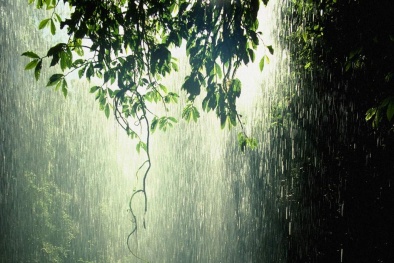 Dự báo thời tiết ngày mai 10/5/2016: Bắc Bộ mưa rào, gió giật mạnh