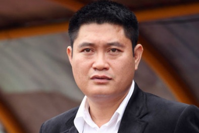 Khám phá khối tài sản nghìn tỷ của bầu Thụy