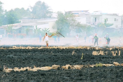 Cháy lớn gần khu quân sự Sóc Trăng: Biển lửa ‘nhảy múa’ trên 45.000m2 đất