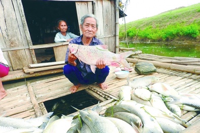 Ai bồi thường cho dân vụ cá chết trên sông Bưởi?