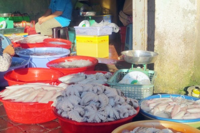 Clip: Kinh hoàng phát hiện hải sản chứa chất tẩm niệm tử thi, hàn the