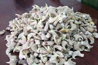 Bắt giữ vận chuyển trái phép gần 700 móng vuốt hổ