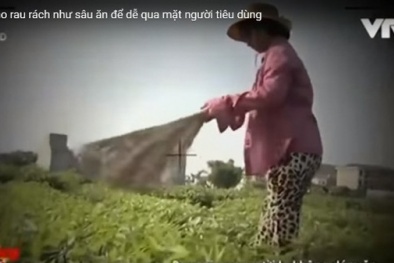 Phóng sự ‘Cây chổi quét rau’ bị dàn dựng, người nông dân vô tình thành diễn viên