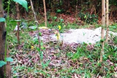 'Nô nức' kéo đến xem phần mộ bí ẩn chôn sơ sài trong rừng tràm