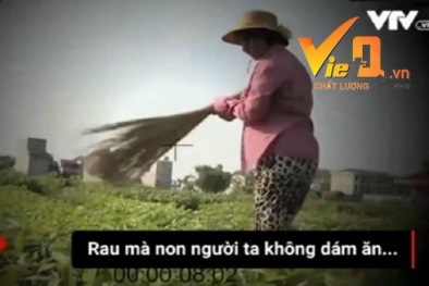 Dàn dựng phóng sự: Phóng viên VTV xin lỗi, dân đòi bồi thường vì bị thiệt hại