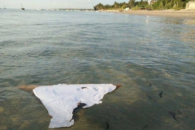 Bừng sáng hy vọng khi tìm thấy mảnh vỡ thứ 4 và thứ 5 của MH370