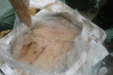 Lạng Sơn: Thu giữ 500kg nầm lợn Trung Quốc nhập lậu 