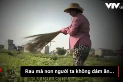  Người dùng chổi quét rau kể chuyện bị phóng viên ‘xúi’ dàn cảnh