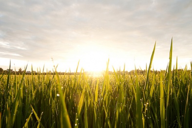 Dự báo thời tiết ngày mai 18/5/2016: Bắc Bộ ngày nắng, đêm và chiều tối có mưa 