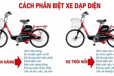 Cách phân biệt xe đạp điện thật và xe đạp điện giả?