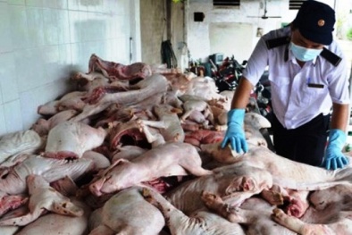 ‘Phát hoảng’ với số lượng cơ sở vi phạm ATTP tại Hà Nội