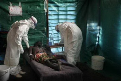 Bộ Y tế cảnh báo bệnh sốt vàng từ Angola có thể xâm nhập vào Việt Nam