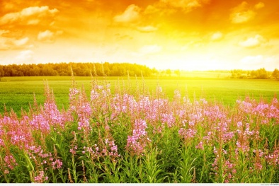 Dự báo thời tiết hôm nay ngày 20/5/2016: Bắc Bộ ngày nắng, chiều tối có mưa rào 