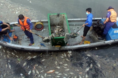 30 tấn hóa chất rải xuống kênh Nhiêu Lộc – Thị Nghè để xử lý ô nhiễm