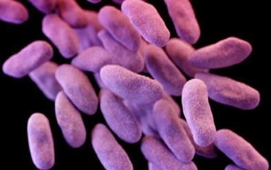 Nỗi đáng sợ khi siêu vi khuẩn cứ 3 giây lại 'giết chết' 1 người