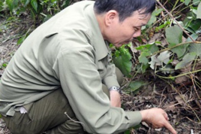 Nghệ An: Án mạng đau lòng, con trai bệnh tâm thần đâm chết cha ruột 