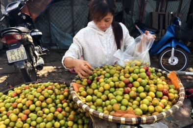 Thị trường Hà Nội: Tràn ngập mận, đào Trung Quốc giả hàng Sapa