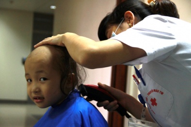 Mỗi ngày, Việt Nam có 205 người tử vong liên quan đến ung thư 