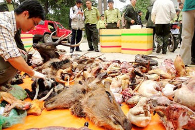 Việt Nam - Hoa Kỳ coi buôn bán động vật hoang dã là tội phạm nghiêm trọng