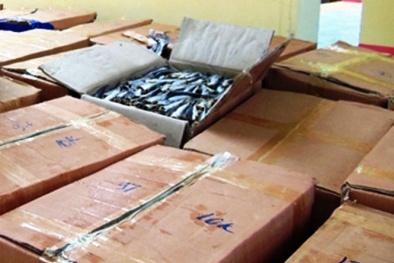 Bắt xe khách chở 2 tấn cá khô không nguồn gốc vào TP.HCM tiêu thụ