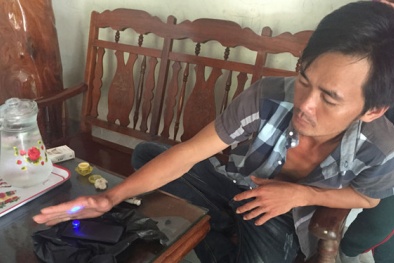 Thực hư 'viên ngọc' lấy từ bụng ếch giá đồn thổi tới 5 tỷ ở Phú Yên