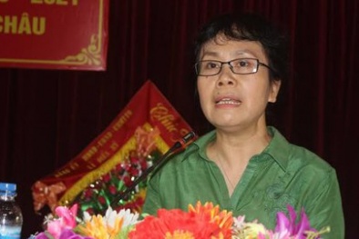 Phu nhân Phó Thủ tướng Vương Đình Huệ trúng cử ĐBQH