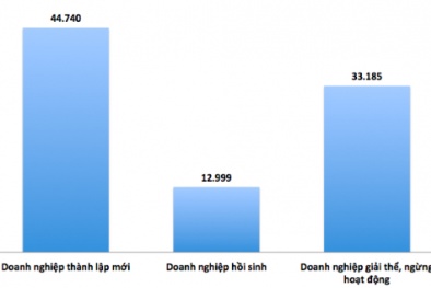 Hơn 220 doanh nghiệp đang 'chết' mỗi ngày