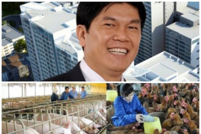 Tập đoàn Hòa Phát theo chân bầu Đức đi 'nuôi lợn'