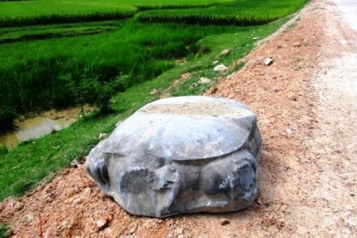 Nghệ An: Phát hiện rùa cổ bằng đá tuổi đời hàng trăm năm bên vệ đường