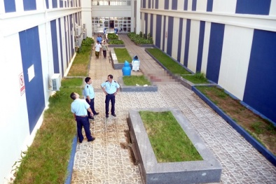 Đồng Nai: Nghĩ mình bị truy sát, người đàn ông 'đại náo' bệnh viện rồi nhảy lầu