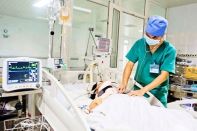 Cùng một ngày nghe tin xe điên và trâu điên húc nhiều người bị thương