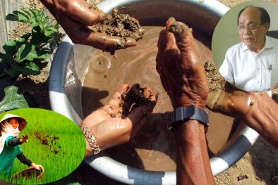 Nông dân kiệt quệ vì phân bón giả, kém chất lượng