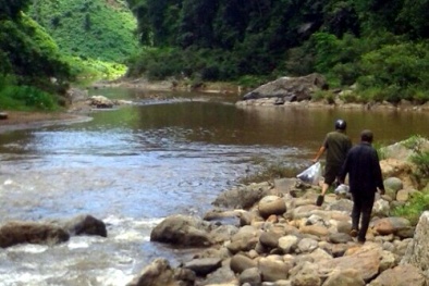 Phát hiện thi thể không mảnh vải che thân đang phân hủy giữa rừng sâu