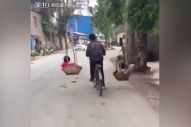 Clip bố còng lưng đạp xe gánh 2 con ngồi thúng gây tranh cãi