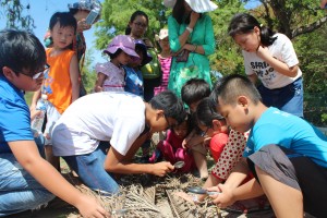 Sao lại tước đi của các em kỳ nghỉ hè trọn vẹn?