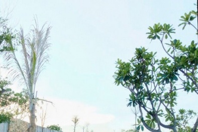 Tuần qua: Hà Hồ, Hà Tăng 'rủ' nhau mặc đẹp nhất tuần