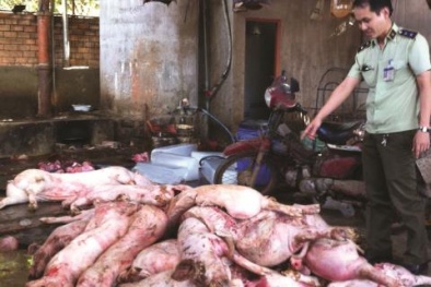 Tiếp tục công bố 45 điểm vi phạm vệ sinh an toàn thực phẩm trên cả nước