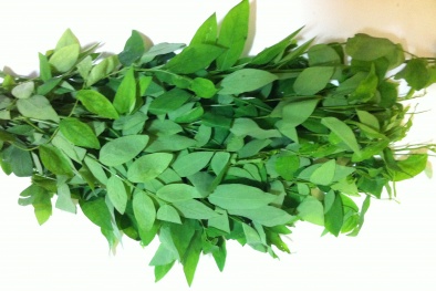 Chuyên gia mách mẹo nhận biết rau ngót sạch, rau ngót phun thuốc kích thích