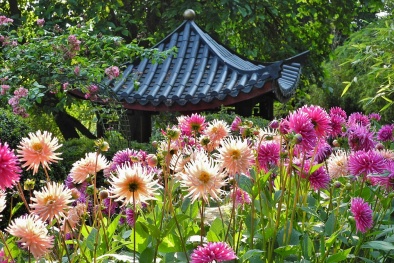 Những khu vườn ngập hoa tuyệt đẹp này sẽ giúp bạn quên đi cơn nóng mùa hè