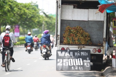 TP HCM sẵn sàng tiêu thụ vải thiều