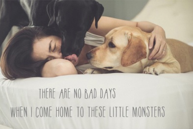 Thú cưng 'hot hơn chủ' của dàn sao Việt nổi tiếng nhất showbiz