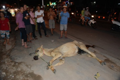 Bản tin tai nạn giao thông mới nhất 24h qua ngày 10/6