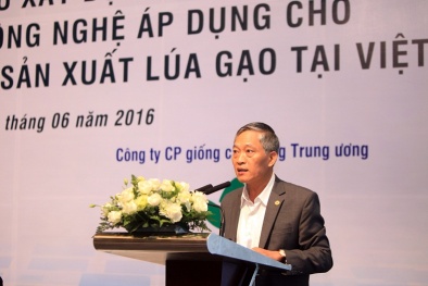 Đổi mới công nghệ góp phần giữ vững vị thế thứ 3 thế giới về xuất khẩu gạo