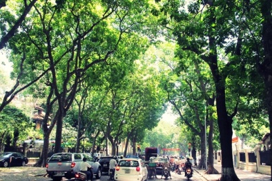 Dự báo thời tiết hôm nay ngày 11/6/2016: Bắc Bộ ngày nắng, đêm mưa to 