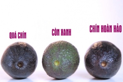 Cách chọn, ăn bơ tốt nhất cho sức khỏe không phải ai cũng biết