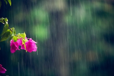 Dự báo thời tiết ngày mai 12/6/2016: Bắc Bộ mưa to kèm tố lốc, gió giật mạnh